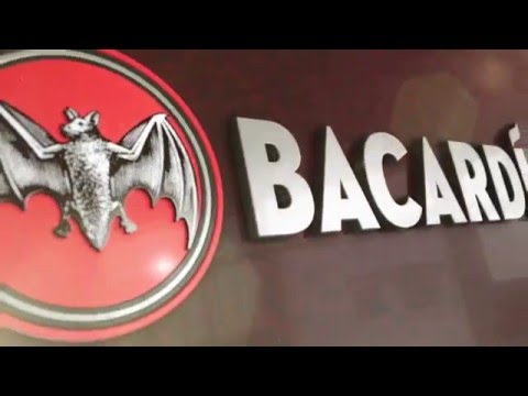 Miami Sailing Week - 2016 Promo Video