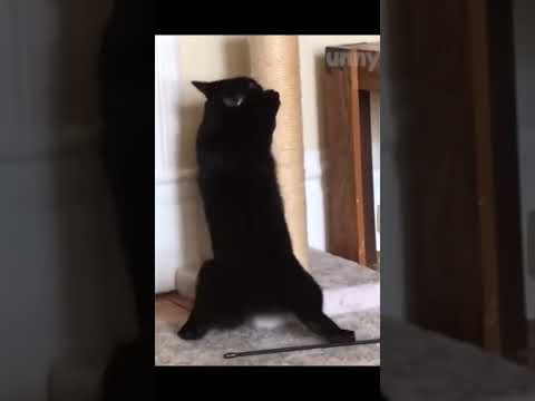 “Somebody come get her”