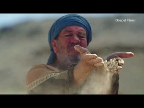 Parable of the rich fool