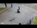 This 9 Stair Is No Joke