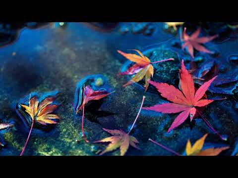 Matt Hardwick vs. Smith & Pledger feat. Melinda Gareh - Connected (Cardi Bootleg Remix)