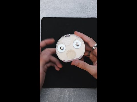 Mr Beast’s Puzzle - Solution