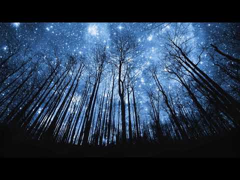 Wonderful vocal and Classic Trance (Part 5)