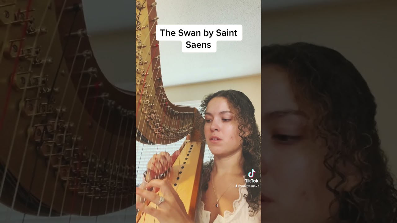 Promotional video thumbnail 2 for Harps of Praise