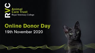 Animal Care Trust - Online Donor Day 2020