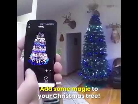 フェアリーライトに関する紛争 サービス