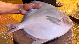 Excellent Big Pomfret Fish Cutting Skills Live In Fish Market | Fillets Fishing Cut