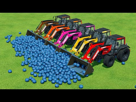 LOAD AND TRANSPORT BLUEBERRY WITH VALTRA TRACTORS - Farming Simulator 22