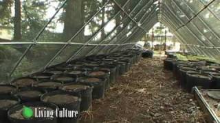 preview picture of video 'Cultivating Mushrooms at Nikko Farm'