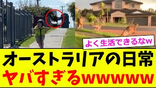 【動画】オーストラリアの日常、ヤバすぎるwww【2chまとめ】【2chスレ】【5chスレ】