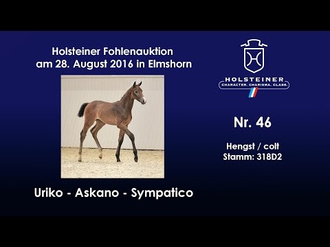 Holsteiner Fohlenauktion 2016 in Elmshorn - Nr. 46 v. Uriko - Askano