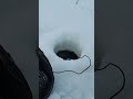 Video Thumbnail for Walleye HAT TRICK Ice Fishing Flash Bite