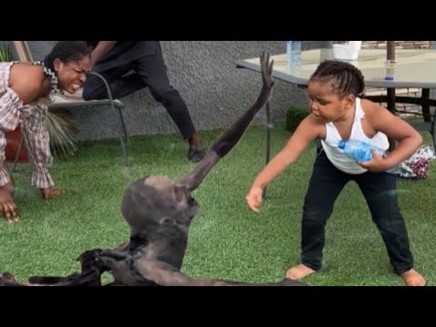 DAVINA RETURNED THE GIFT