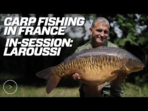 Spotlight | Laroussi | French Carp Fishing