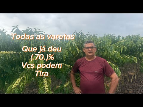 Veja porque vc tem que tirar todas varetas que já deu 70% de café 