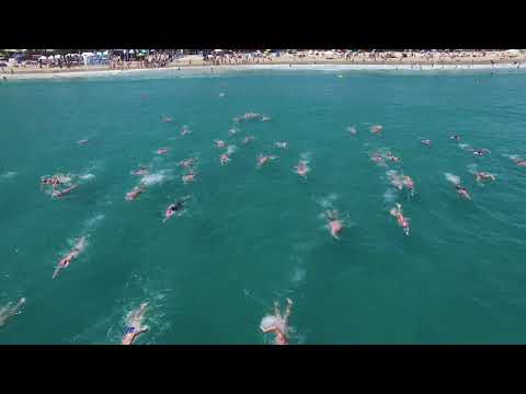 2025 Noosa Summer Swim Festival