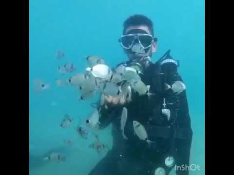 جولة في شواطئ المغرب  الحسيمة -الجبهة 😍 و تجربة الغوص تحت الماء 💪🏻