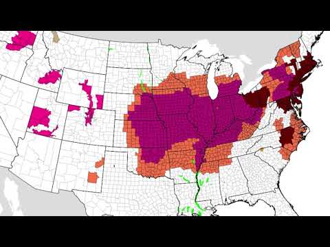 July 18, 2019 Weather Xtreme Video - Afternoon Edition