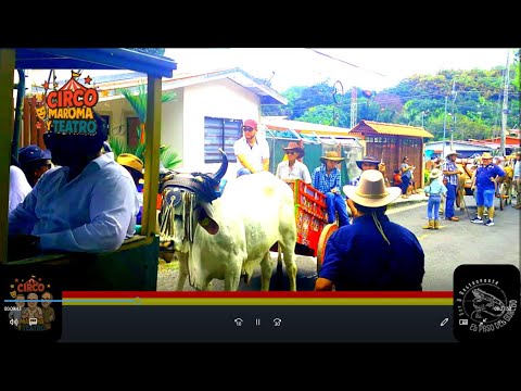 CIRCO MAROMA Y TEATRO de Gira en San Mateo de Alajuela DESFILE DE BOYEROS Domingo 10-9-2025