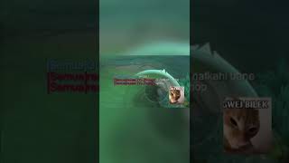 Download lagu THE DUO BUCIN CRYING IN THE CORNER!! #chou #mobilelegends #neerhays mp3 Download lagu THE DUO BUCIN CRYING IN THE CORNER!! #chou #mobilelegends #neerhays mp3