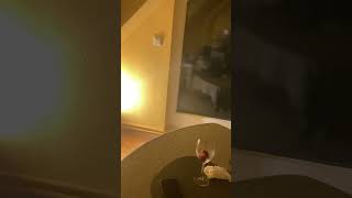 自分感で生きる/元気の源/没頭と情熱は神様のお仕事