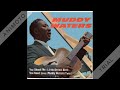 Muddy Waters - Whole Lotta Love (You Need Love) - 1962 1st RECORDED HIT - DC'SGoldenYearsTV Muddy Waters - Whole Lotta Love (You Need Love) - 1962 1st RECORDED HIT