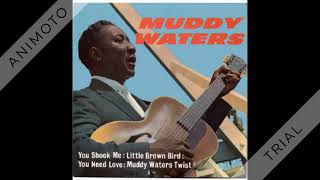 Muddy Waters - Whole Lotta Love (You Need Love) - 1962 1st recorded hit