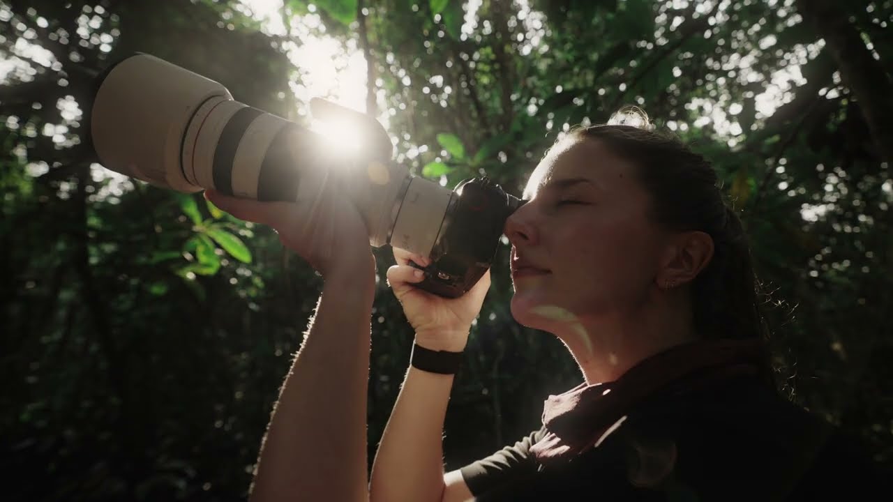 Experience Odzala-Kokoua National Park