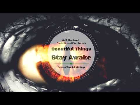 AvB, Hardwell & David Gravell Vs. Andain - Beautiful Things Stay Awake (Sandro Vanniel Mashup)