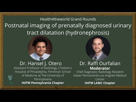 Postnatal Imaging of Prenatally Diagnosed Urinary Tract Dilatation