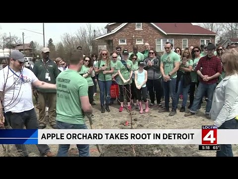 Apple Orchards Detroit