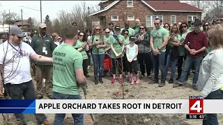 Apple orchard takes root in Detroit