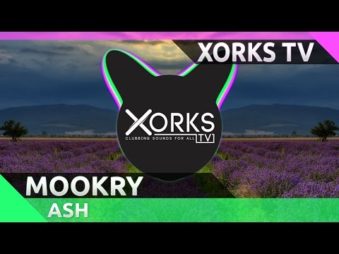 ASH - Mookry (Audio)