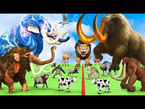 5 Giant Mammoth Elephant Cow Vs Giant Behemoth Vs 5 Giant Lion Tiger Wolf  Saved By Wolly Mammoth