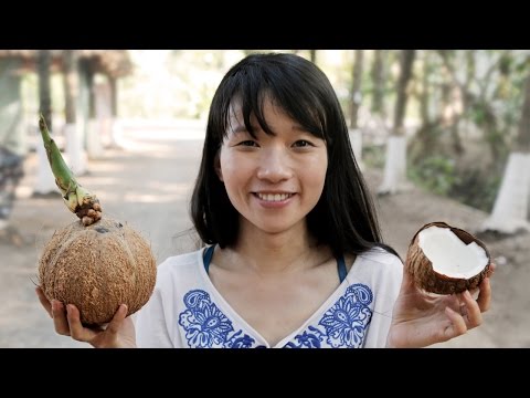 Coconut Test and Coconut Trivia