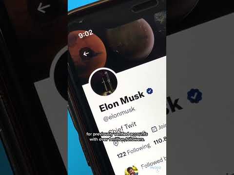 Twitter Verification Chaos Explained #shorts