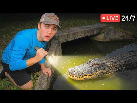 Bass fishing Productions LIVE: Stream Highlights | April Week 2