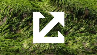 Baths - &quot;Out&quot; (Official Lyric Video)