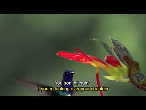 Thumbnail for OK TO FALL video