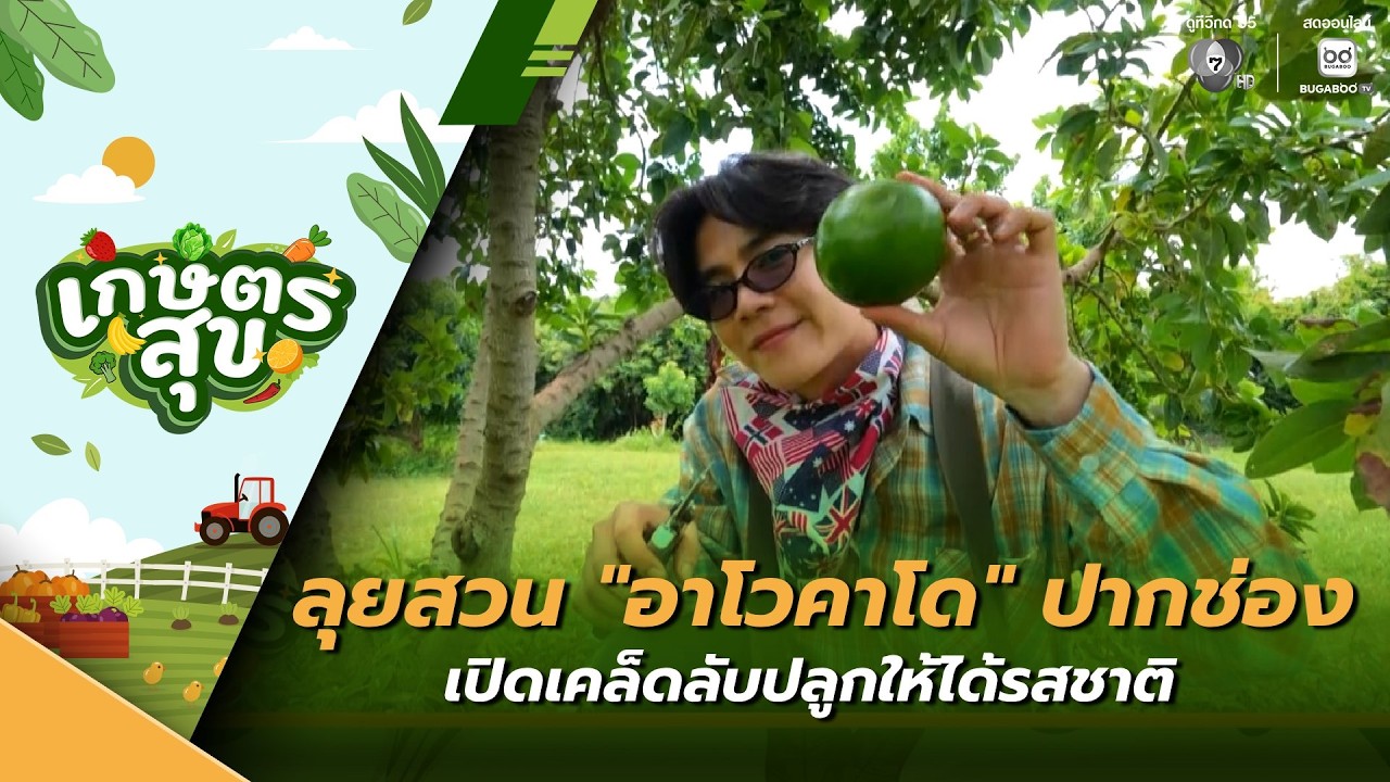 เกษตรสุข EP.32 | ลุยสวน "อาโวคาโด" ปากช่อง เปิดเคล็ดลับป