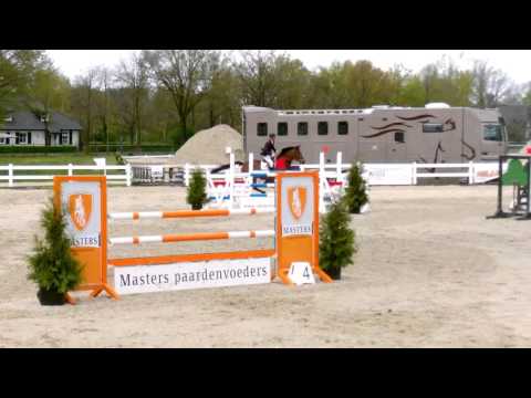 6yr old Numero Uno x Unistar