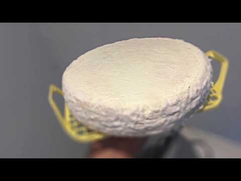 fromage brie fait maison جبن بري محلي الصنع