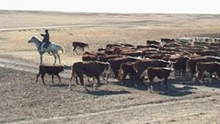 «Аграрная кредитная корпорация» с 2014 года приступает к реализации трех новых программ