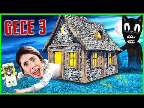 CARTOON CAT DİLA KENT