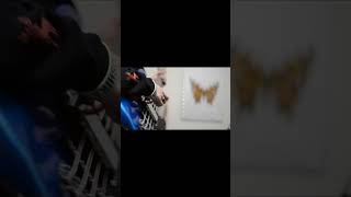 【#盗作】【#ヨルシカ】【#shorts】【#永久機関】  #盗作 #ヨルシカ  プロフよりYouTube fullへ飛べます！ #初音ミク #anime  #hatsunemiku