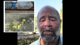 Sitka Gold – LIVE! Mike Burke Update aus Münc