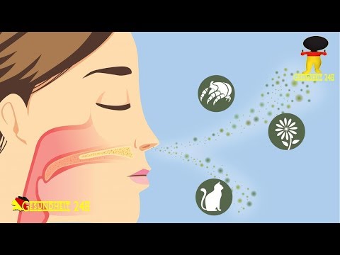 Hyposensibilisierung: Hilfe bei Allergien