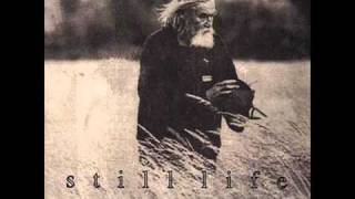 Still Life - Weak Foundations