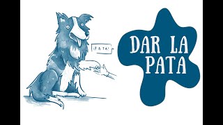 2. Enseña a tu perro a dar la pata