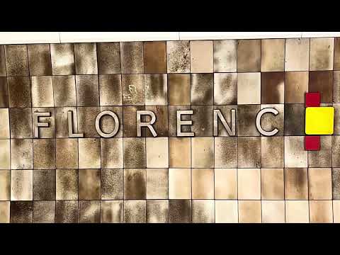 A glimpse of Prague’s FLORENC Metro Station (Dec.2023). #gate1travel #trainspotting #trainstation